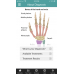 Broken Wrist (Distal Radius Fracture) - Patient Guide